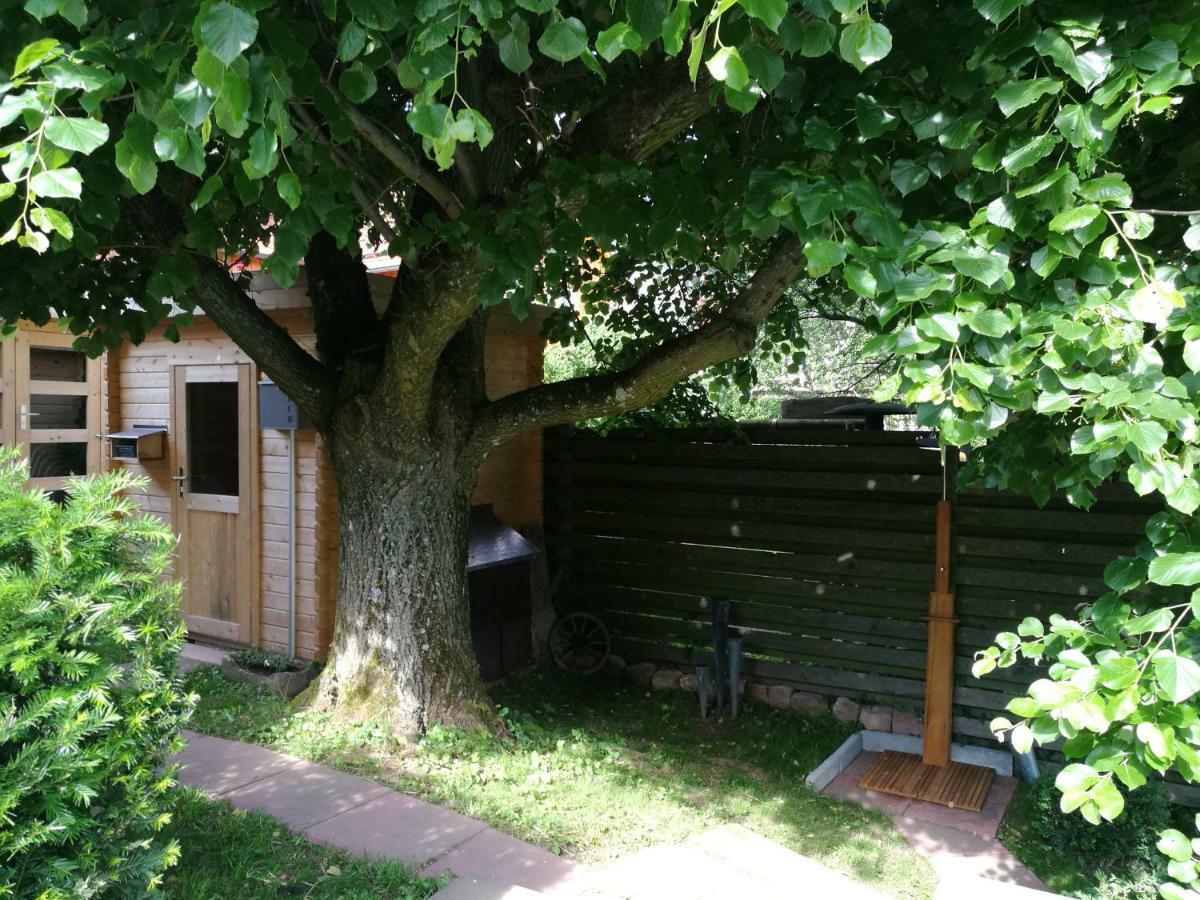 Ferienhaus Glucksmoment Grasellenbach Bagian luar foto